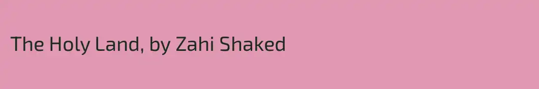 The Holy Land, by Zahi Shaked
